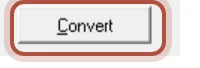The Convert button